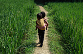 Mirsharai, Bangladesch - 21. Oktober 2019: Blick auf ein Kind, das ein anderes auf dem Rücken trägt, auf einem schmalen Pfad, der durch die leuchtend grünen Reisfelder führt.