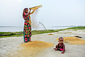Bogura, Bangladesch - 25. Mai 2017: Blick auf eine Frau in einem farbenfrohen, geblümten Sari, die vor der Kulisse eines ruhigen Flusses Getreide erntet, mit ihrem Kind in der Nähe.