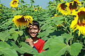 Brahmanbaria, Bangladesh - 01 March 2020: View of a young boy's joyful smile amidst a vibrant field of sunflowers under a clear blue sky.