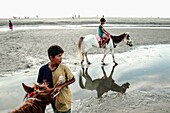 Cox's Bazar, Bangladesh - 29 November 2022: View of boys with horses on the sandy beach, their reflections shimmering in the shallow water, under the pale, expansive sky.