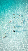 Luftaufnahme von Haien, die in kristallklarem türkisfarbenem Wasser schwimmen, ein faszinierender Tanz der rauen Schönheit der Natur, Moorea, Inseln über dem Winde, Französisch-Polynesien.