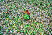 Bogura, Bangladesh - 10 August 2022: Aerial view of a woman amidst a sea of scattered plastic bottles, a stark contrast of human presence and waste.