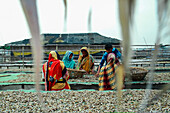 Cox's Bazar, Bangladesh - 07 March 2022: View of women in vibrant saris sorting fish on a sun-drenched drying platform, framed by blurred, hanging dried fish, near a weathered structure.