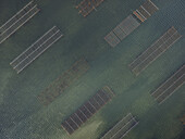 Luftaufnahme von geometrischen Austernfarmen, die starke Muster auf dem türkisfarbenen Wasser des Etang de Thau bilden, ein Tanz von Industrie und Natur, Etang de Thau, Okzitanien, Frankreich.