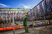 Cox's Bazar, Bangladesh - 29 November 2022: View of fish hung out to dry under the bright sky, creating a pattern against the wooden racks and the vibrant orange tarps below.
