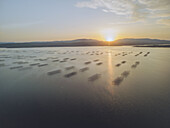 Luftaufnahme von Austernfarmen, die still auf dem See stehen, während die Sonne über den Bergen untergeht, Leucate, Okzitanien, Frankreich.