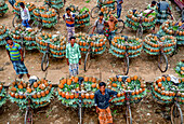 Madhupur, Bangladesch - 07. Februar 2019: Luftaufnahme eines farbenfrohen Tableaus aus Fahrrädern, die mit goldenen Ananas beladen sind und ein faszinierendes Muster aus Handel und Farbe bilden.