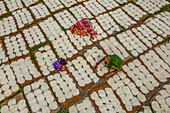 Bogura, Bangladesh - 28 May 2019: Aerial view of women meticulously arranging white food items in neat, sun-drenched patterns, creating a textured mosaic under the expansive sky.