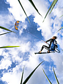 View of a kitesurfer soars through the air under a sky dotted with fluffy clouds, framed by verdant blades of grass, Svencele, Klaipeda District Municipality, Lithuania.