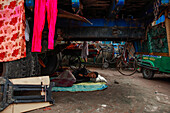 Dhaka, Bangladesh - 15 August 2021: View of a man asleep on a makeshift bed under a truck, vibrant pink trousers hanging nearby, contrasting sharply with the gritty urban scene.