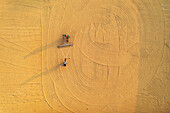 Bogura, Bangladesh - 24 December 2018: Aerial view of a farmer guiding a tractor across the expansive, golden field, leaving a mesmerizing pattern of swirling lines in its wake.