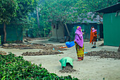 Cumilla, Bangladesh - 25 January 2020: View of women amidst rustic dwellings, vibrant clothing contrasting with the earthy tones of the ground and scattered natural materials.