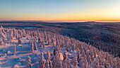 Luftaufnahme von schneebedeckten Bäumen, die eine ruhige Landschaft unter einem pastellfarbenen Himmel bedecken. Das weiche Licht malt den Horizont mit orange- und rosafarbenen Tönen, Salla, Lappland, Finnland.
