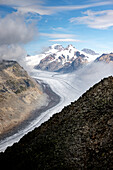 Blick auf den Aletschgletscher, der sich durch felsiges Gelände schlängelt, ein Fluss aus Eis unter einem wolkenverhangenen Himmel, kontrastiert mit dem dunklen Vordergrund, Fieschertal, Wallis, Schweiz.