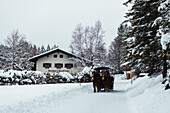 View of a horse-drawn carriage makes its way through the snowy landscape past a quaint building in Almau, Bavaria, Germany.