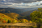 View of golden light bathing the autumn-colored Velka Fatra mountains, painting the landscape with vibrant hues under a sky of soft clouds, Staré Hory, Banskobystrický kraj, Slovakia.