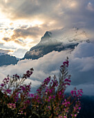 Blick auf einen majestätischen, wolkenverhangenen Berggipfel, der den Himmel durchdringt, umhüllt von einem weichen, warmen Sonnenaufgangslicht, Grindelwald, Kanton Bern, Schweiz.