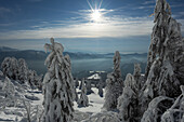View of snow-laden trees stand majestically against a backdrop of distant mountains under a bright sun, creating a serene winter wonderland, Velka Fatra mountains, Liptovské Revúce, Žilina Region, Slovakia.