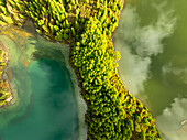 Aerial view of a vibrant, emerald forest meeting the turquoise waters of Lagoa do Fogo, creating a stunning contrast of colors and textures, Lagoa do Fogo, Azores, Portugal.