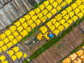 Dhaka, Bangladesh - 20 August 2023: Aerial view of vibrant yellow hides laid out to dry on weathered wooden planks, a lone worker in blue amidst the striking contrast of textures and tones.