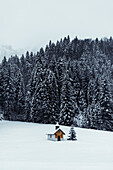 Blick auf ein kleines Holzgebäude, das allein auf einem weiten, schneebedeckten Feld steht, umgeben von dunklen, schneebedeckten immergrünen Bäumen, Almau, Bayern, Deutschland.
