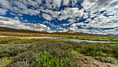 View of a vibrant green meadow and meandering river under a vast blue sky dotted with fluffy clouds in Deosai National Park, Skardu, Gilgit Baltistan, Pakistan.