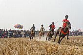 Rajshahi, Bangladesh - 24 January 2024: View of spirited horse riders racing across the dry, golden field, a blur of motion against the backdrop of onlookers.