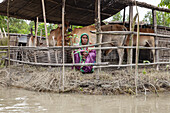 Kurigram, Bangladesh - 14 July 2024: View of a woman in vibrant attire sits by a flooded enclosure, with cattle standing calmly amidst the rising waters, a testament to resilience.
