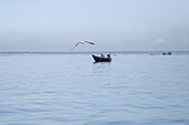 Cox's Bazar, Bangladesh - 29 November 2022: View of a small fishing boat gliding across the tranquil, pale blue waters as a lone seagull flies overhead, creating a serene coastal scene.