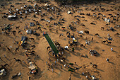 Pushkar, Indien - 02. November 2006: Luftaufnahme der ausgedehnten Pushkar Kamelmesse, wo Hunderte von Kamelen und Menschen den goldenen Sand übersäen und ein faszinierendes Muster von Leben und Handel schaffen.