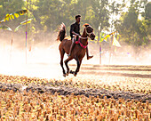 Tangail, Bangladesh - 28 December 2024: View of a thrilling horse race, dust swirling under hooves as a rider soars, a blur of motion against a backdrop of yellowed fields.