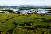 Luftaufnahme der üppigen grünen Felder, die auf die geometrischen Muster der Fischteiche treffen, in denen sich das weiche Licht des Himmels in der Nähe von Tiwi, Tiwi, Iloilo, Philippinen, spiegelt.