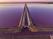 Aerial view of the stark contrast between the pink waters and the geometric lines of the salt evaporation ponds under a soft, golden sky, Aigues-Mortes, Occitanie, France.