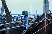 Chattogram, Bangladesh - 28 November 2019: View of a worker balancing a green basket atop his head, navigating the wooden planks of anchored boats, with the city bridge fading into the horizon.