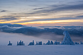 Aerial view of snow-laden trees stand as silent sentinels against the backdrop of the Velka Fatra mountains, with a sky streaked with dawn's first light, Velka Fatra mountains, Belá-Dulice, Žilina Region, Slovakia.