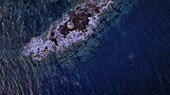 Aerial view of the stark white lighthouse stands defiant against the rugged, rocky outcrop, waves crashing around its base in a symphony of turquoise and deep blue, Sardinia, Italy.