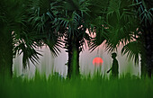 Bogura, Bangladesh - 01 October 2018: View of a silhouetted figure walking amidst the vibrant green rice fields, framed by the dark, textured trunks and fronds of towering palm trees as the sun sets.