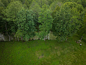 Aerial view of the Republic of Paulava's wall, a stone structure amidst verdant meadows and dense woodland, Merkine, alininkai, Lithuania.