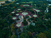 Luftaufnahme der pulsierenden Supertrees in den Gardens by the Bay, die sich wie futuristische Pflanzen inmitten des üppigen Grüns erheben, Singapur, Singapur.