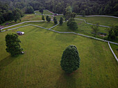 Luftaufnahme von sonnenüberfluteten grünen Weiden, die von hellen weißen Zäunen durchschnitten werden, mit verstreuten Bäumen, die lange Schatten werfen und eine ruhige ländliche Szene schaffen, Kentucky, Vereinigte Staaten.