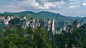 Luftaufnahme von hoch aufragenden Sandsteinsäulen, Zhangjiajie National Forest Park, Hunan, China.