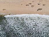 Aerial view of the foamy white waves crashing onto the golden shore, creating a mesmerizing blend of textures and colors, Location Omitted.
