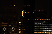 View of a golden moon rising behind silhouetted buildings with warmly lit windows, painting a dramatic contrast against the night sky, New York, New York, United States.