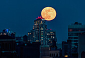 View of the vibrant full moon rising majestically over the illuminated skyscrapers, casting a warm glow across the cityscape, New York, New York, United States.