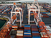 Tauranga, Neuseeland - 24. Februar 2025: Luftaufnahme des geschäftigen Hafens, wo Frachtcontainer von Kränen bewegt werden und eine Symphonie der Industrie entsteht.