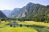 Aerial view of verdant meadows meet the clear waters, framed by towering, forest-clad mountains under a vast sky, Kalkalpen, Upper Austria, Austria.