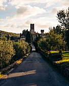 View of sun-kissed road leading to a majestic castle, framed by lush greenery and a serene sky, in Badia A Passignano, Toscana, Italy.