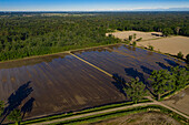 Aerial view of flooded rice paddies reflecting the vast blue sky, bordered by deep green forests and punctuated by the stark contrast of bare fields, Vespolate, Piedmont, Italy.