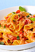 Garganelli cremosi al pomodoro e crescenza (pasta with creamy tomato and cheese sauce, Italy)