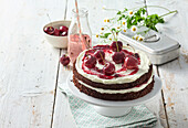 Chocolate cake with vanilla cream and sour cherries in cherry liqueur